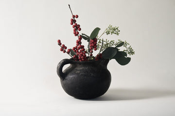 Essay 01 and Introducing Access Fund