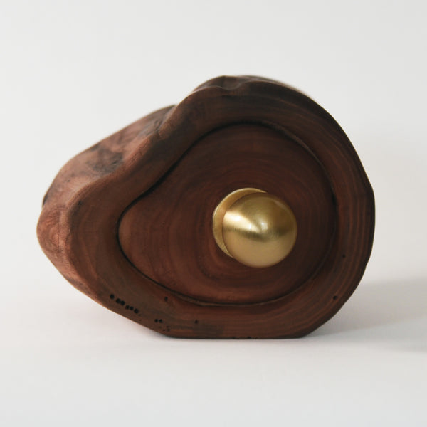 Camperdown Elm Trinket Box – Handcrafted from a Single Log