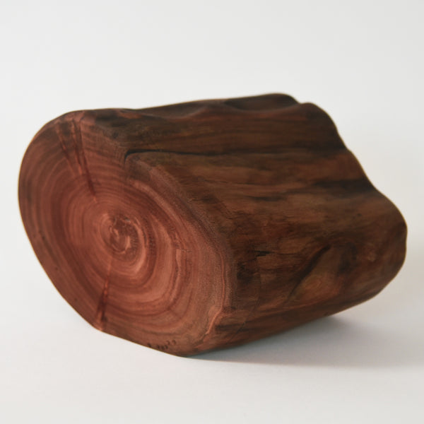 Camperdown Elm Trinket Box – Handcrafted from a Single Log