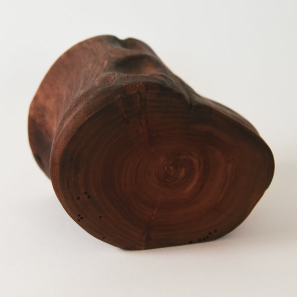 Camperdown Elm Trinket Box – Handcrafted from a Single Log