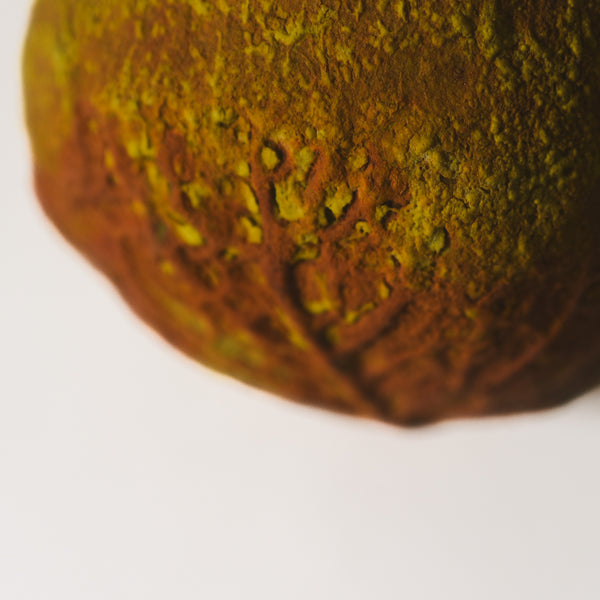 Organic Ceramic Form – Isca Objects